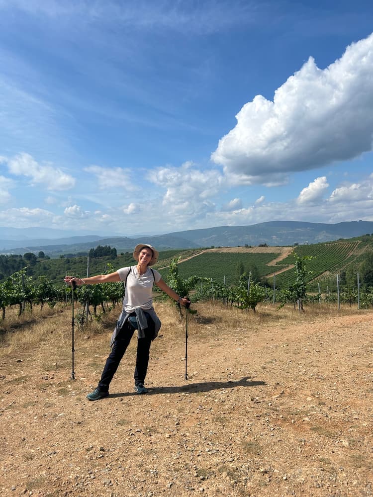 DOP Bierzo