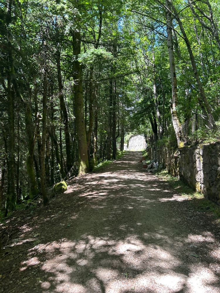 O Cebreiro