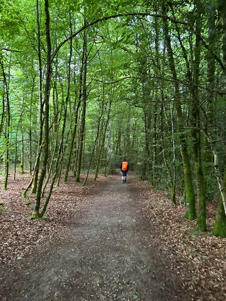 The Camino will provide